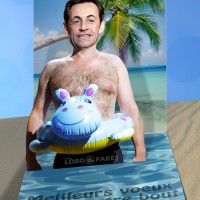 Meilleurs voeux de Sarkozy